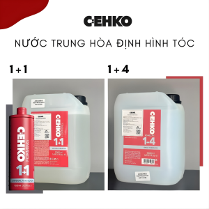 dập cehko (1)