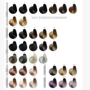 HỆ THỐNG MÀU NHUỘM STAPIZ