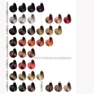 HỆ THỐNG MÀU NHUỘM STAPIZ (1)