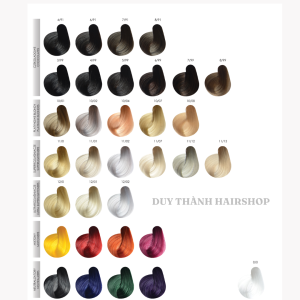 HỆ THỐNG MÀU NHUỘM STAPIZ (2)