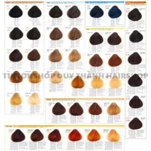 vn-11134207-7r98o-lzmwmuxt7djh4e