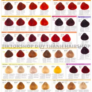 vn-11134207-7r98o-lzmwmuxta6od59