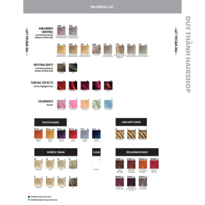 MÀU NHUỘM CAO CẤP GOLDWELL TOPCHIC THỜI TRANG ỐNG 250ML màu nhuộm cao cấp nhập khẩu Đức