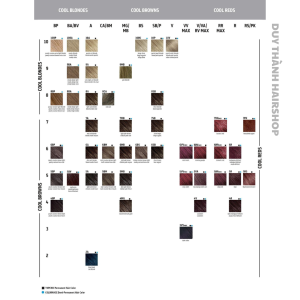 MÀU NHUỘM CAO CẤP GOLDWELL TOPCHIC THỜI TRANG ỐNG 250ML màu nhuộm cao cấp nhập khẩu Đức