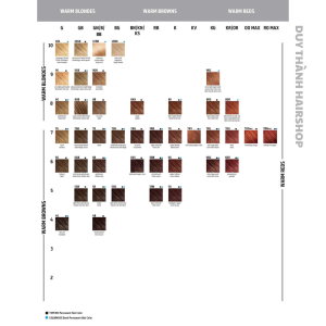 MÀU NHUỘM CAO CẤP GOLDWELL TOPCHIC THỜI TRANG ỐNG 250ML màu nhuộm cao cấp nhập khẩu Đức