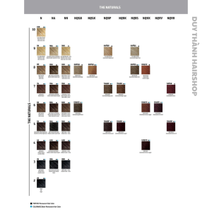 MÀU NHUỘM CAO CẤP GOLDWELL TOPCHIC THỜI TRANG ỐNG 250ML màu nhuộm cao cấp nhập khẩu Đức