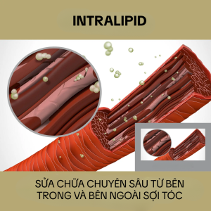 gội xả goldwell (4)