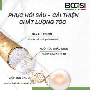 vn-11134207-820l4-medpjbc7zs3n12