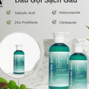 488530101_965661725740920_419383202600519884_n