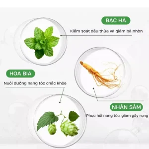 vn-11134207-7ras8-mbg3tzk4a64nd5