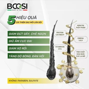 vn-11134207-7ras8-mb7nhboz7z5td0